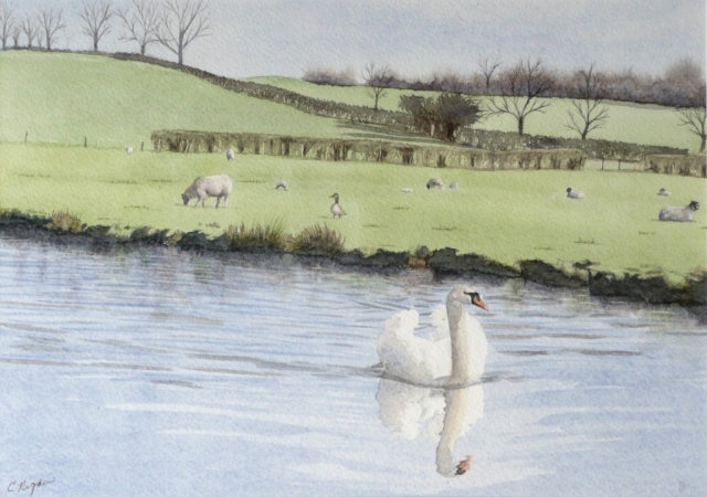 Early Spring, watercolour, 12" x 8" (Christine Rigden)