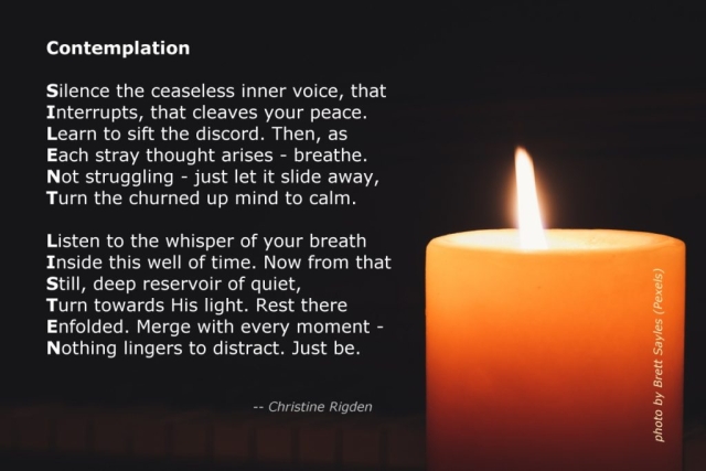 Contemplation (Christine Rigden)