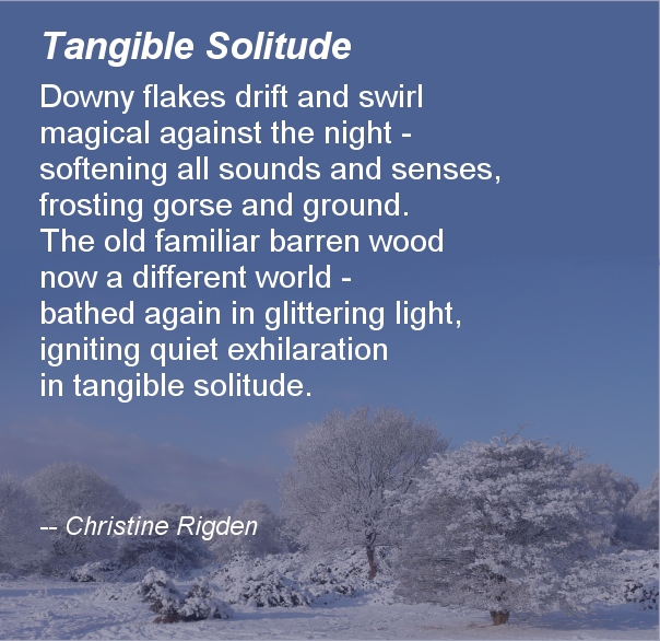 Tangible Solitude