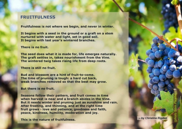 Fruitfulness (Christine Rigden 2023)