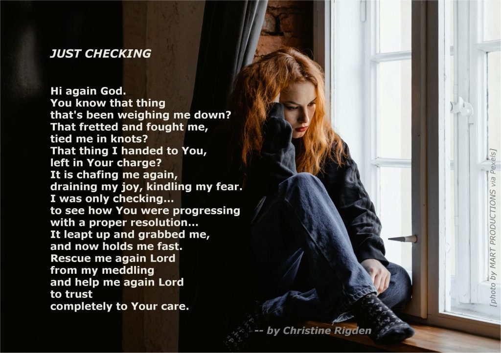 Just Checking... by Christine Rigden